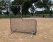 Bison baseball pitcher's safety screen